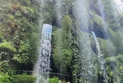 Cascadas