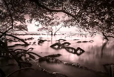 nice pictures from everywhere