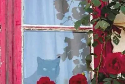 ventana