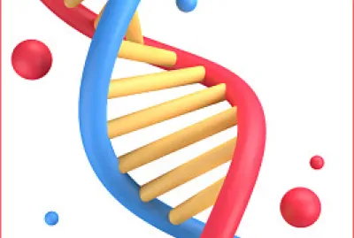 O DNA armazena informações genéticas. jigsaw puzzle