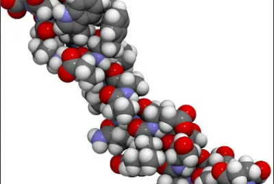 Têm função de regulação e comunicação celular.