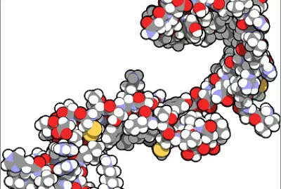 Catalisa informações, pode atuar como anticorpos.