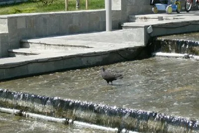 Fountain (Submitted by Silvia Dlt) jigsaw puzzle