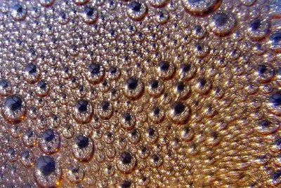 Wassertropfen 2