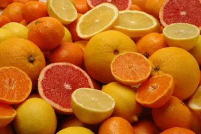 Fruits jigsaw puzzle