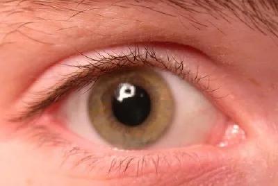 眼睛