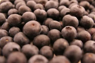 Blueberries jigsaw puzzle