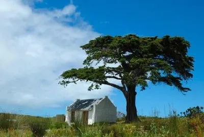 Cape Point, Sydafrika