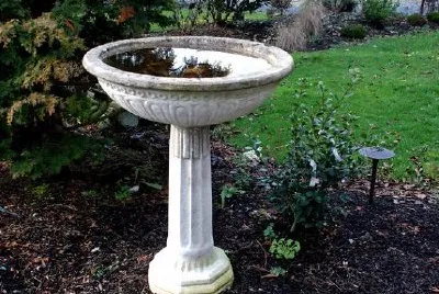 Birdbath