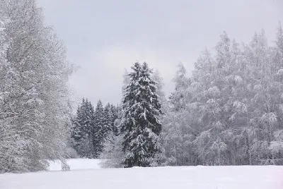 Riihimaki, Finlandia