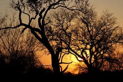 Sonnenuntergang in Afrika