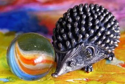 Igel