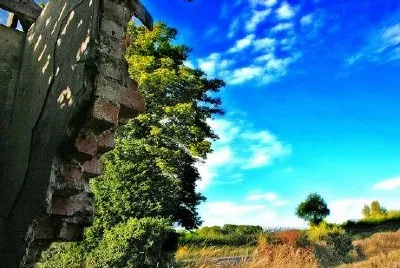 פאזל של חומה שבורה - אירלנד