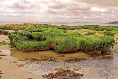 פאזל של קורק, אירלנד