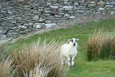 Ireland jigsaw puzzle