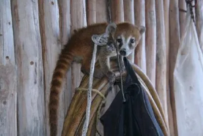 Tulum, Mexico jigsaw puzzle
