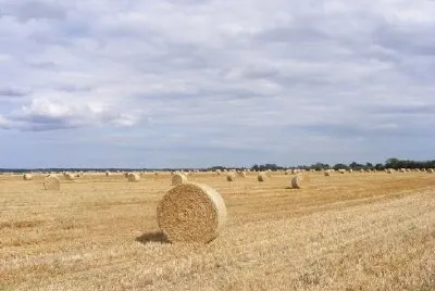 Billets av hö med full himmel