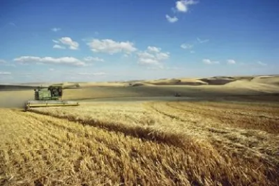 ワシントンパルースヒルズでの大麦の収穫