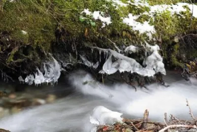 Escena de invierno