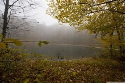 Escena de otoño