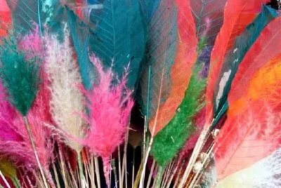 Feathers jigsaw puzzle