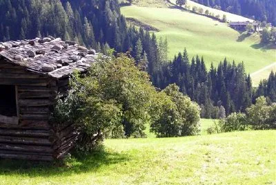 Zwieselegg - Wagrain, Austria