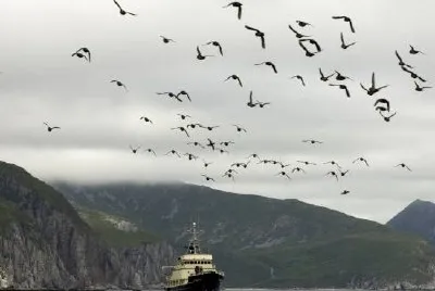 Big Koniuji Island and MV Tiglax jigsaw puzzle