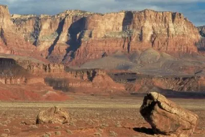 Liberação de Condor