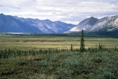 Zane Hills