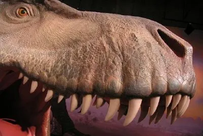 פאזל של דינוזאור