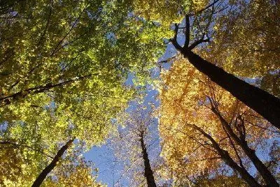 Autunno