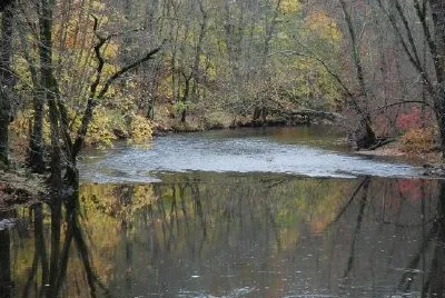 Boschi in autunno
