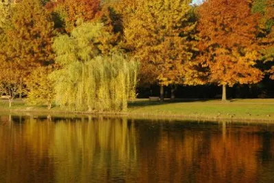 Una scena d'autunno