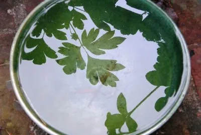 Acqua piovana