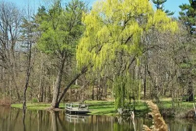 Park Auburn Hills, Michigan, Stati Uniti