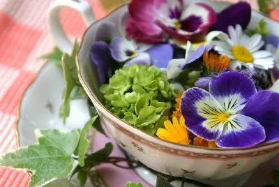 Frühlingsblumen