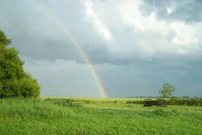 Regenbögen
