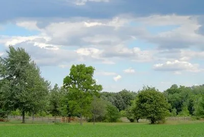 Landschaft