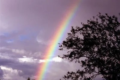 Regenbogen