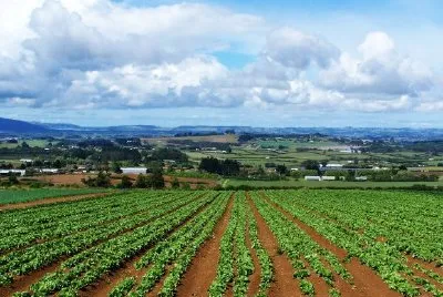 Landschaft, Neuseeland