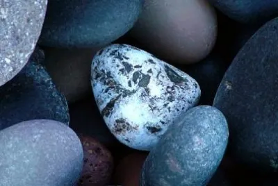 Beach Pebbles
