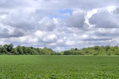Bauernhof Landschaft