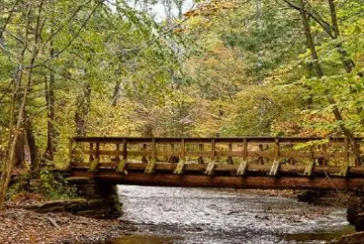 Un pont sur un ruisseau