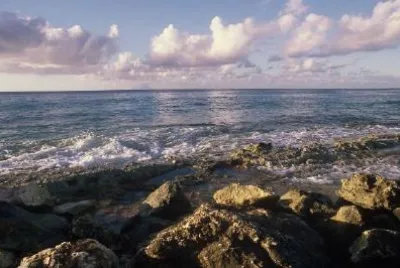 海