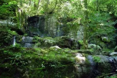 פאזל של מפל ביער