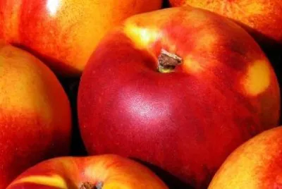 Peaches jigsaw puzzle