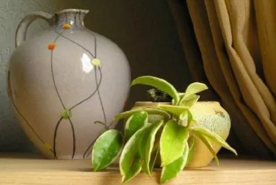 Still life jigsaw puzzle
