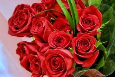 Red Roses jigsaw puzzle