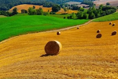 Tuscany Landscape, Italy jigsaw puzzle