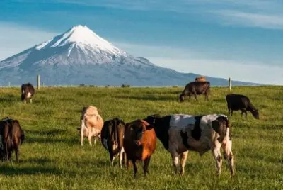 Mount Taranaki, New Zealand jigsaw puzzle